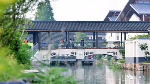 住在風景里，何必還要去找風景——宜興網站建設讓美麗鄉村觸手可及